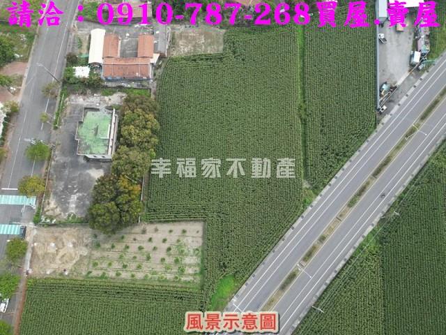 新營農地-4