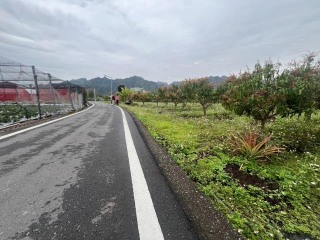 國姓農地-11