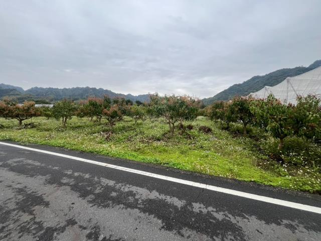 國姓農地-4