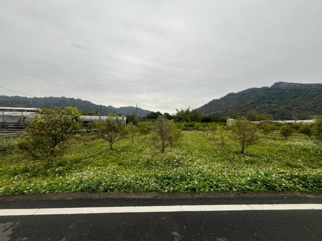 國姓農地-7