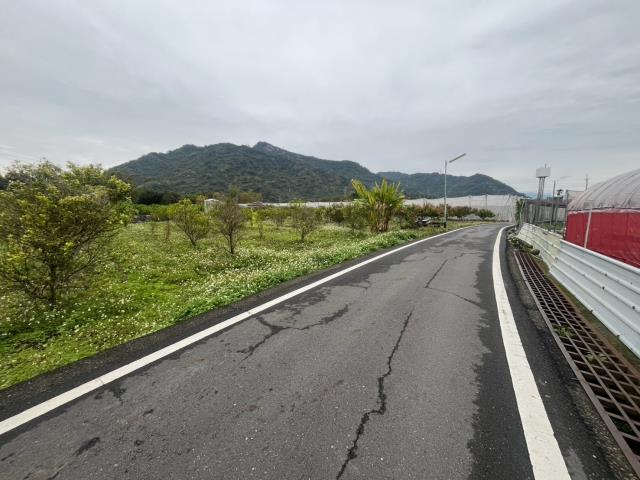 國姓農地-9