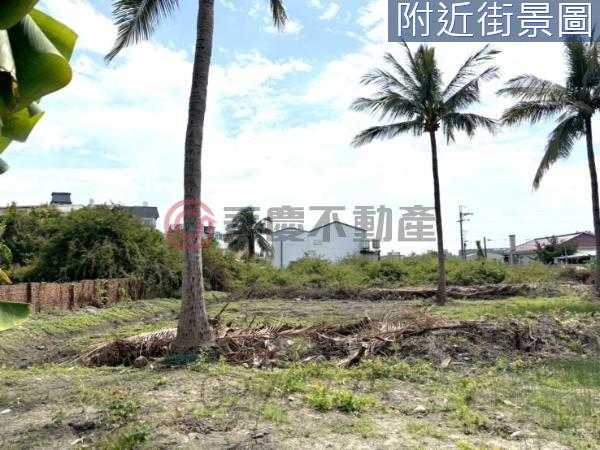 台南仁德建地-1