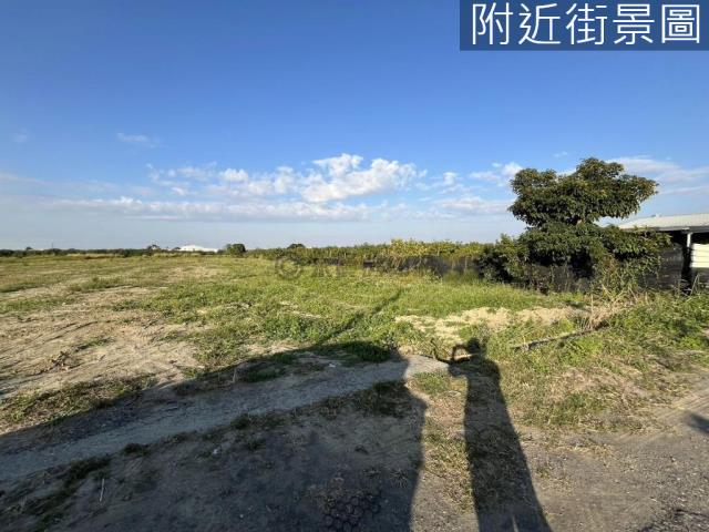 麻豆農地-1