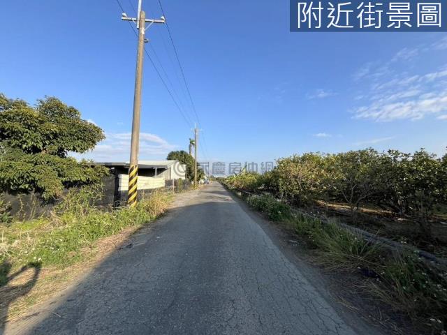 麻豆農地-5