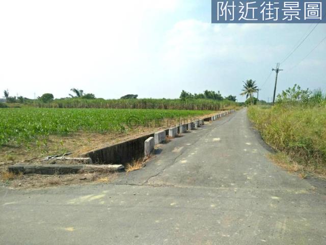 善化農地-11