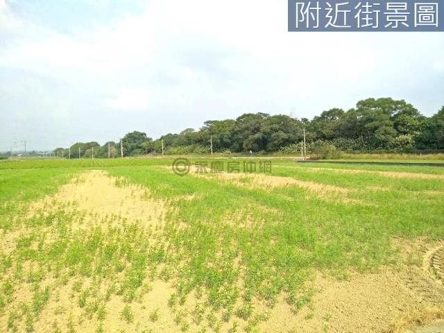 善化農地-6