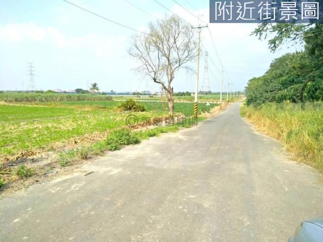 善化農地-9