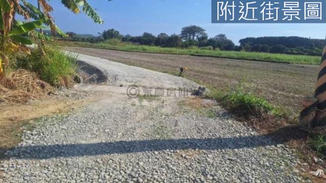 新化農地-8