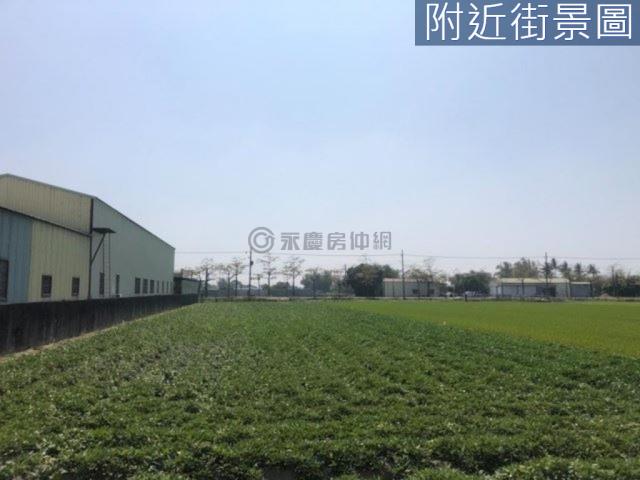 新市農地-1