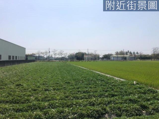 新市農地-2
