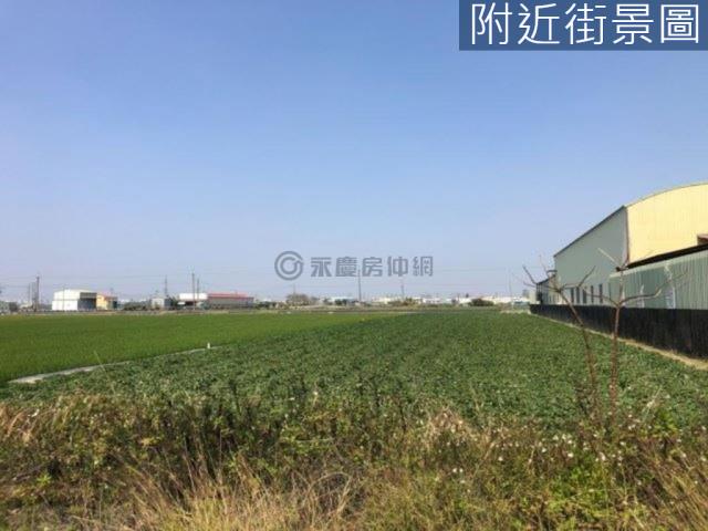 新市農地-4