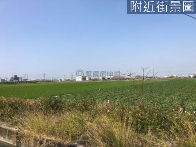 新市農地-5