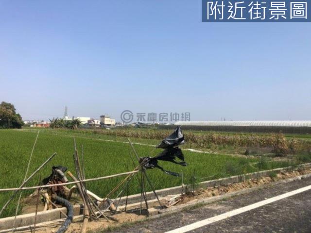 新市農地-6