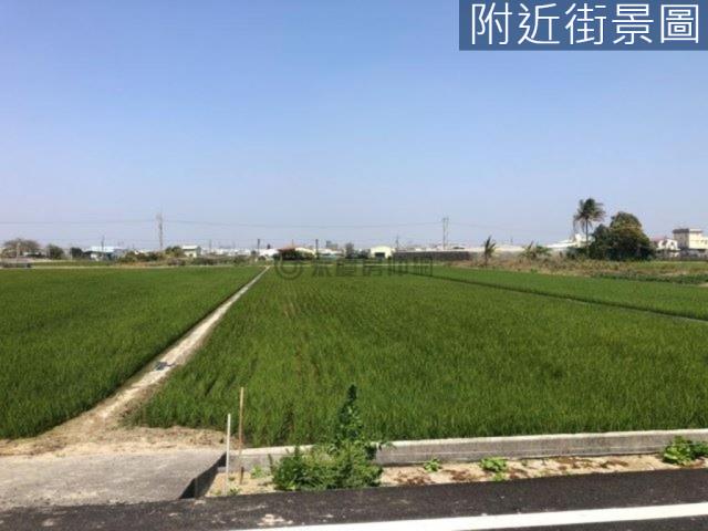 新市農地-9
