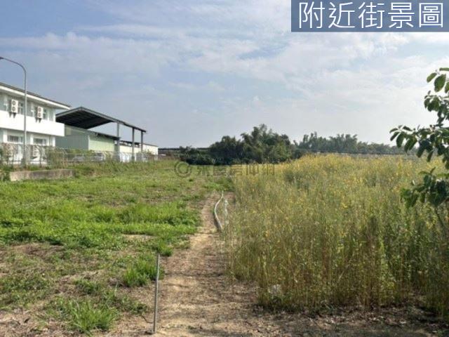 新市農地-1