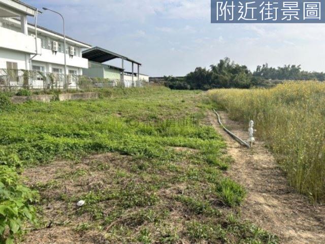 新市農地-4