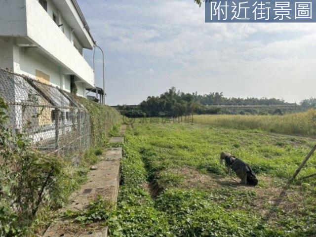 新市農地-5