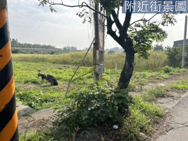 新市農地-6