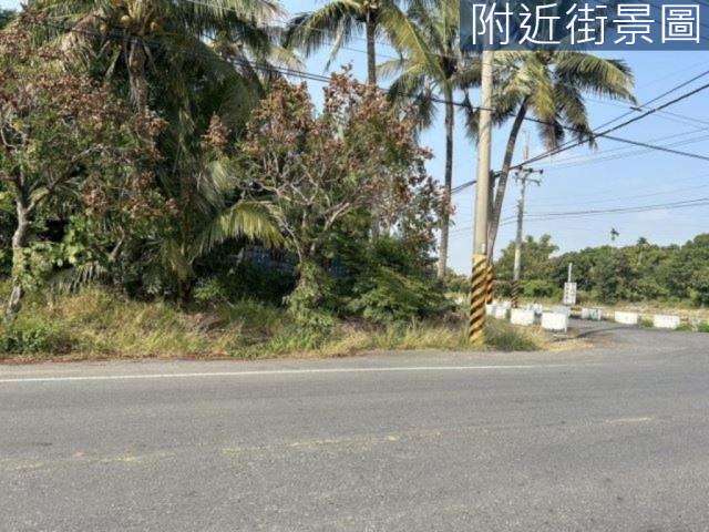 新市農地-9