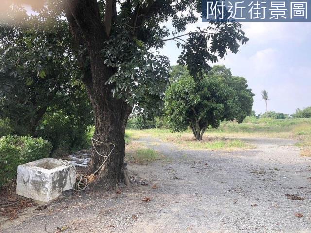 台南農地-3