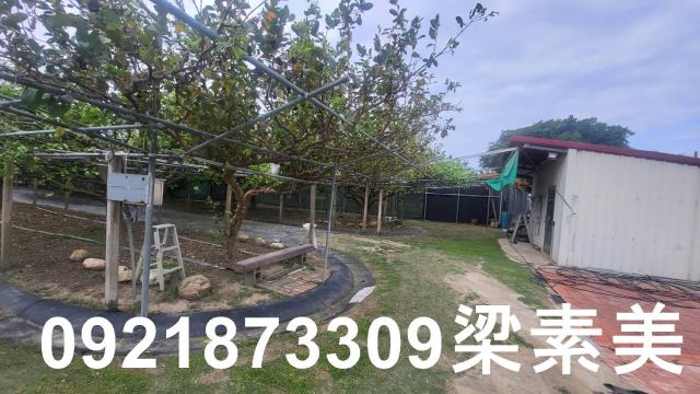 台南農地-3