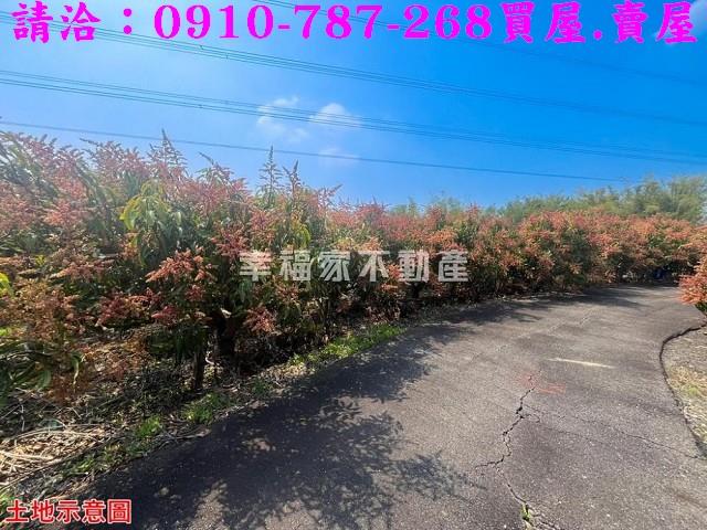 台南官田農地-10