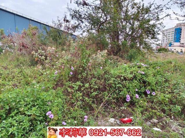 麻豆工業地-5