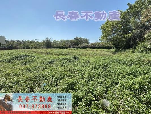 苗栗竹南農地-1