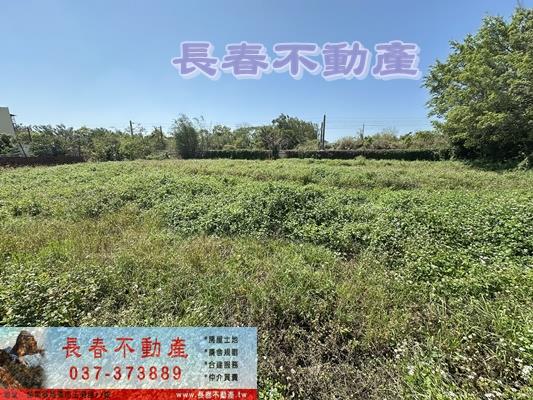 苗栗竹南農地-2