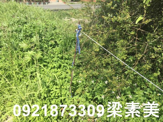 柳營建地-1