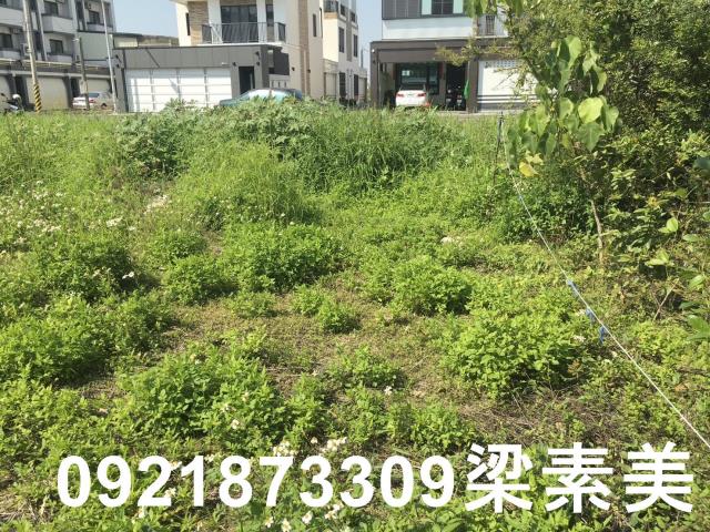 柳營建地-2