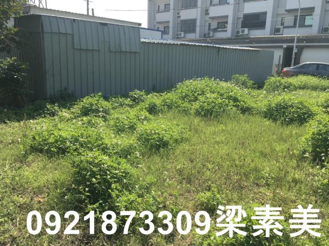 柳營建地-3