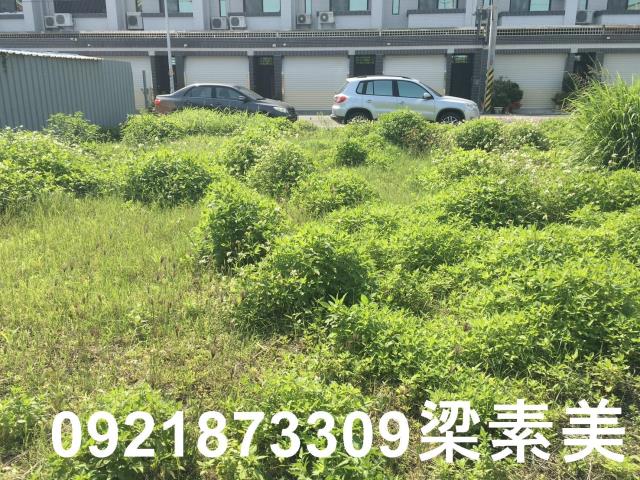 柳營建地-4