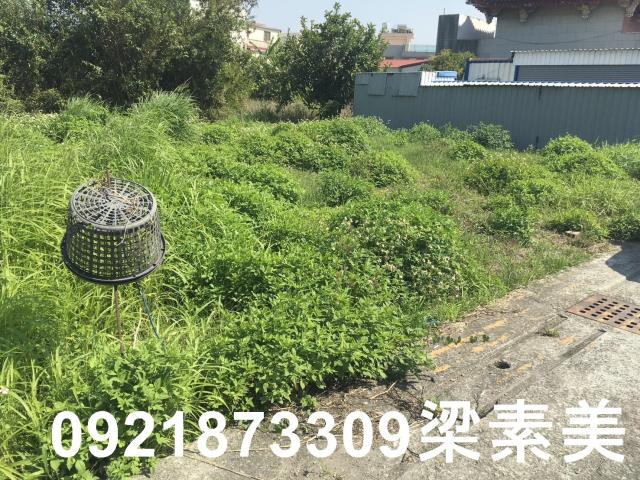 柳營建地-6