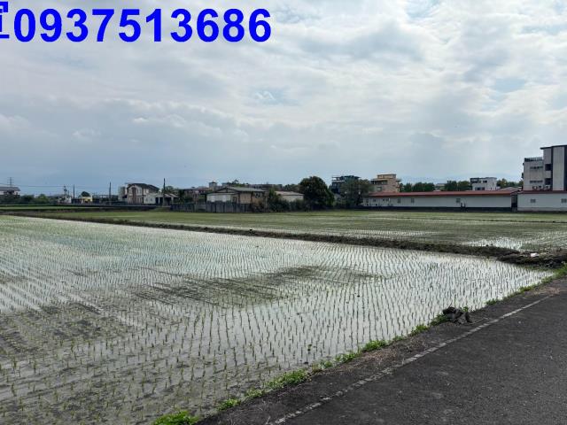 宜蘭農地-5