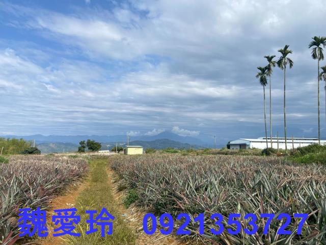 名間農地-3