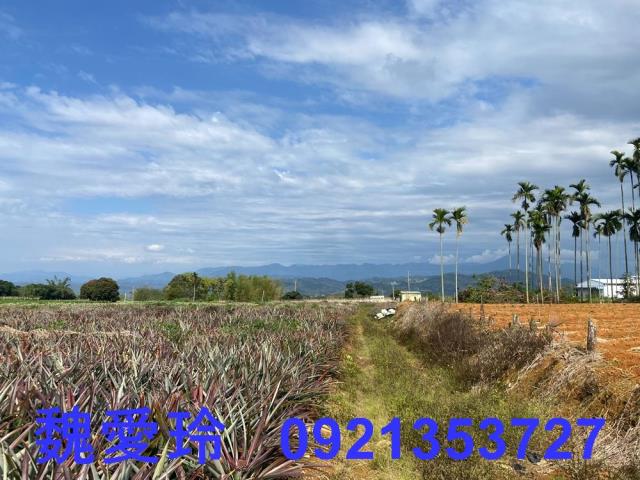 名間農地-4