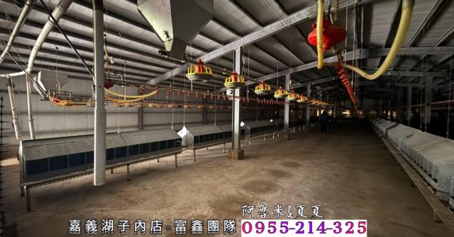 四湖農地-5