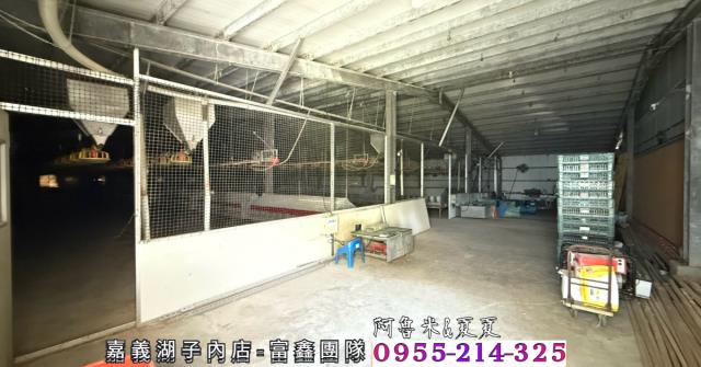 四湖農地-6