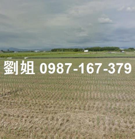 台南善化工業地-2