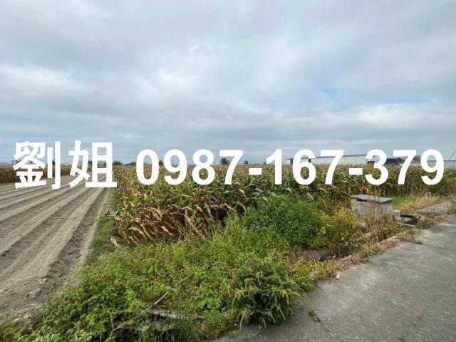 台南安定農地-2