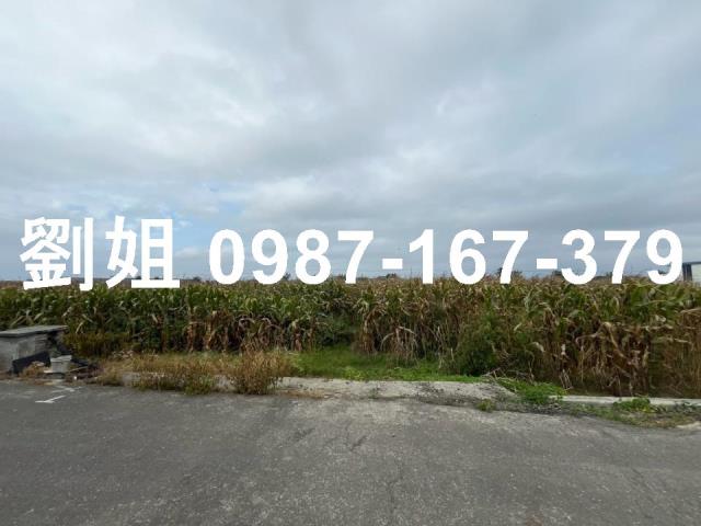 台南安定農地-4