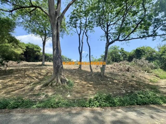 集集山坡地-1