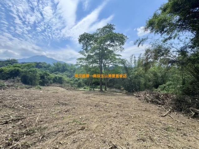 集集山坡地-6