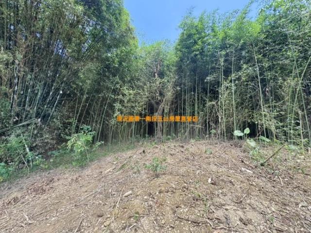 集集山坡地-7