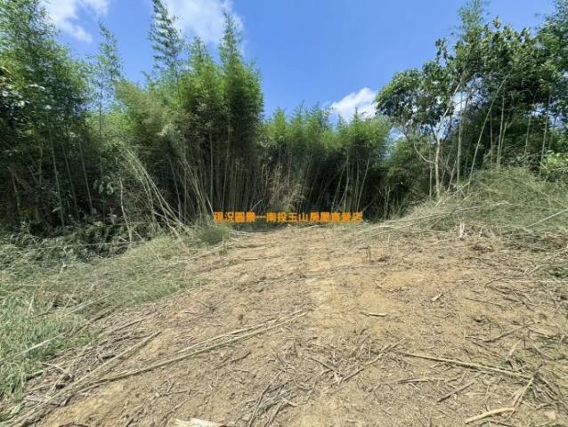 集集山坡地-9