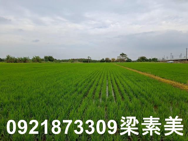六甲農地-4