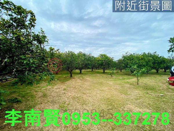 台南麻豆農地-10