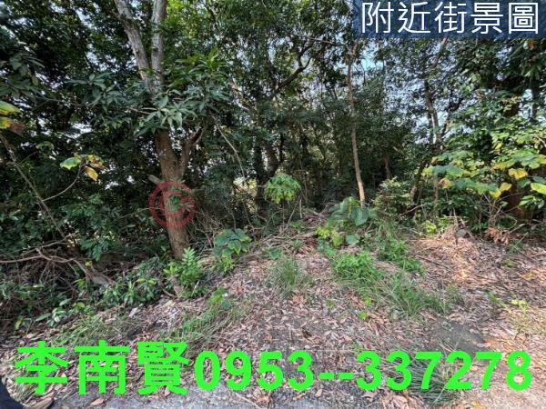 台南大內農地-12