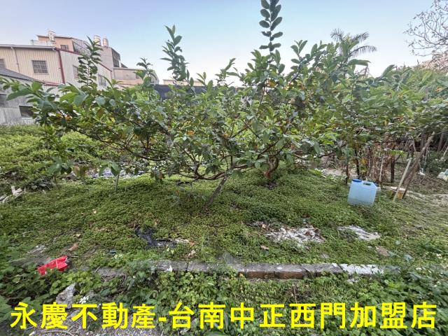 台南永康建地-6